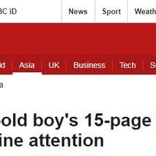 国产15页,深度解析我国创新成果与未来展望